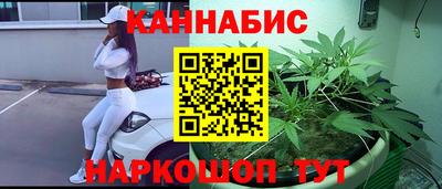 прущие крисы Шахты