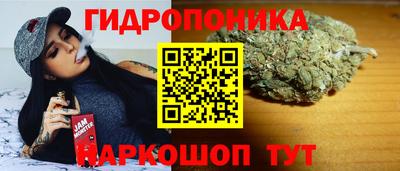 хмурый Шелехов